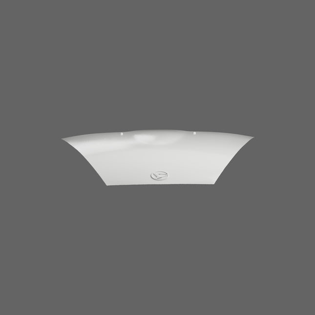 SCHURKEE Daihatsu Copen L880K 3D scan of bonnet, showing detailed centered image of car’s front hood for accurate modeling.
